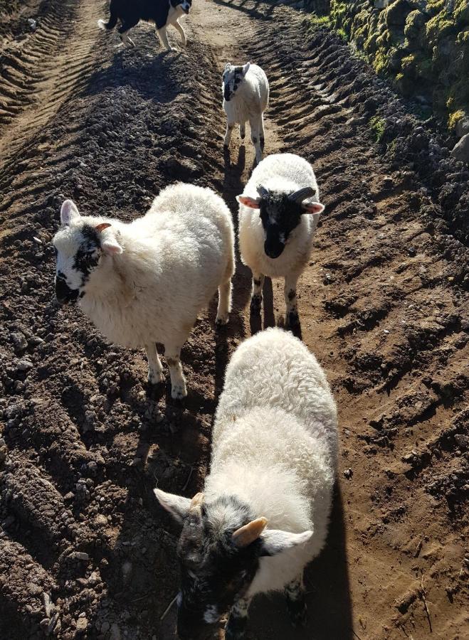 Shadow River Farm Anascaul Zewnętrze zdjęcie